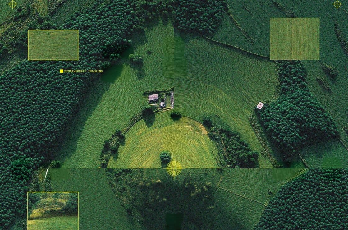An aerial view of green fields and dark forest with pale yellow rectangles and small labels marked over it.