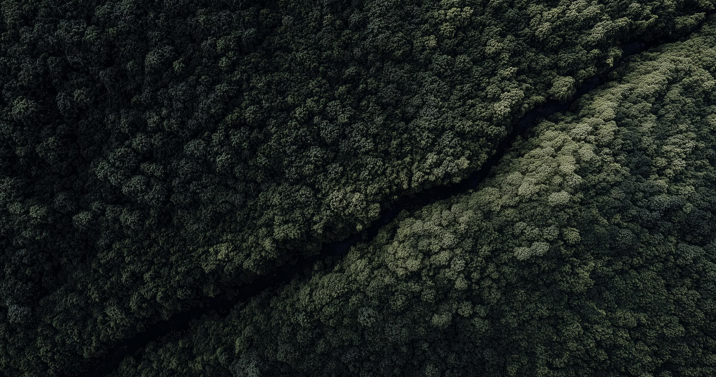 An aerial view of dark green forest crossed by a narrow diagonal river.