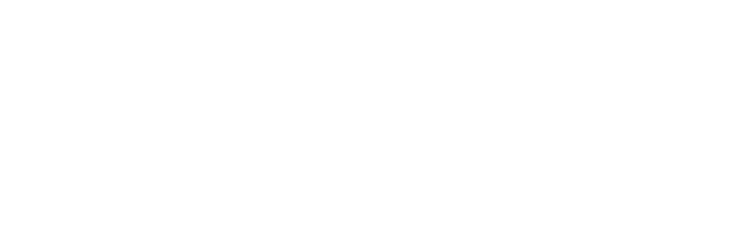 meisō 迷走